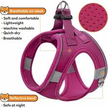 Dog Harness With Leash Set, No-Pull Step-In Reflective Pet Harness With 1 Leash Clips, Adjustable Soft Padded  Dog Vest Small Medium Large Dogs, Cats(Bright Red, XXXSmall)8GGY - 紅色 - 查看 11