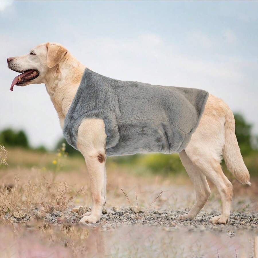 سترة كلب من الفليس - دافئة وناعمة مزدوجة الجانب من فليس القطب الشمالي، لطيفة وصديقة للبشرة وقابلة للغسيل | بلوفر شتوي للكلاب الصغيرة والمتوسطة