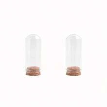 2/5 Stücke Schmuckstein künstliche Blume Glockenglasform mit Korkunterseite für Aufbewahrung, Präsentation & Trockenblumen Deko, Heim-Dekoration, DIY Kunst & Handwerk, Party Geschenke, Blumen Pflanzen, Präparate, Deko-Handwerk