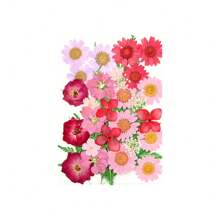 30/40Pcs 1 Set Dried Pressed Leaves Dried Flowers For Resin Real Assorted Dried Greenery For Pressed Leaf Art Craft DIY Handmade Bookmarks Embellishment Decorations