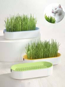 2 piezas Macetas para Hierba de Gato (Semillas no incluidas), Caja de Plantación Hidropónica de Hierba de Gato, Maceta para Hierba de Gato sin Tierra, Contenedor Hidropónico, Maceta para Hierba de Gato, Semillas no incluidas - Multicolor - Ver 1