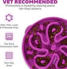 Fun Feeder Slo Bowl, Large Slow Feeder Dog Bowl, 4 Cups, Purple