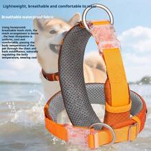 Obroża dla psa, trwała, dla małych i średnich psów, smycz, obroża antyzagubiona dla misia i innych ras