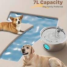 7L 大容量智能 304 不锈钢狗狗饮水器，带窗口自动饮水器，静音，USB 供电，不防水，适用于狗狗，无需电池 - 彩色 - 查看 3