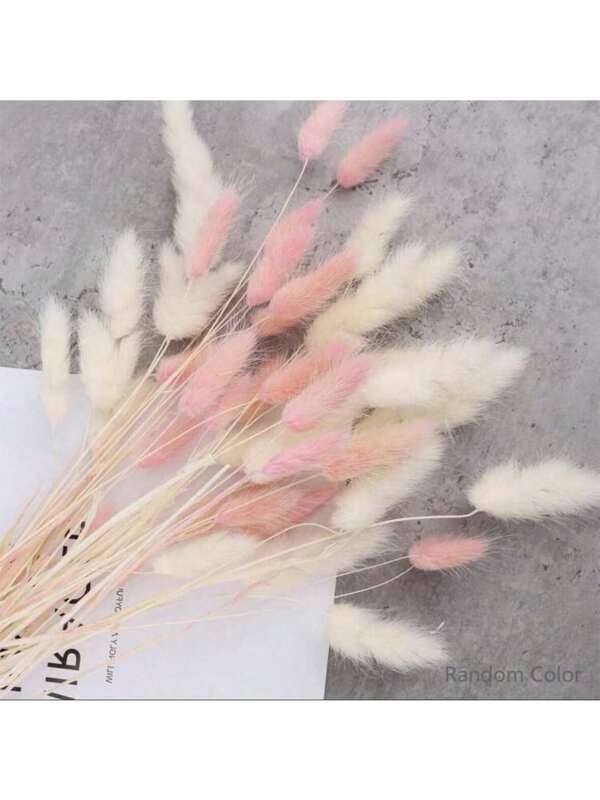 120pcs/60 Sets Pink & Beige Pampas Grass Flowers, Bohemian Home Decor Bunny Tails Dried Flowers