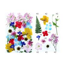 30/40Pcs 1 Set Dried Pressed Leaves Dried Flowers For Resin Real Assorted Dried Greenery For Pressed Leaf Art Craft DIY Handmade Bookmarks Embellishment Decorations