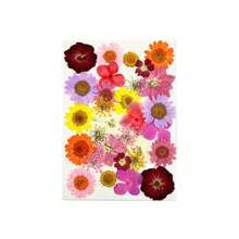 30/40Pcs 1 Set Dried Pressed Leaves Dried Flowers For Resin Real Assorted Dried Greenery For Pressed Leaf Art Craft DIY Handmade Bookmarks Embellishment Decorations