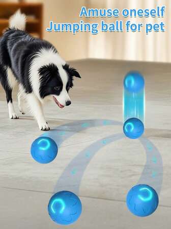狗狗球，自动移动狗狗球，USB充电互动球，耐用自动旋转球，适合中小型犬互动玩具。本产品属于主人与爱宠之间的互动玩具，是追逐玩具，而非啃咬玩具。本产品也需要主人和宠物共同呵护。是送给快乐幼犬的礼物。