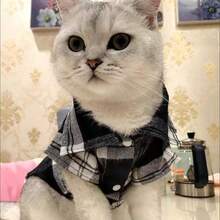 Kemeja Kotak-kotak untuk Anjing Kecil, Pakaian Hewan Peliharaan untuk Anjing dan Kucing - Biru - View 16