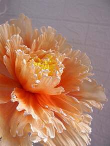 15.7in Artificial Large Peony Flower Wedding Background Arch Decoration Fake Flower Shopping Mall Window Display Studio Props - 樣式 4 - 查看 3