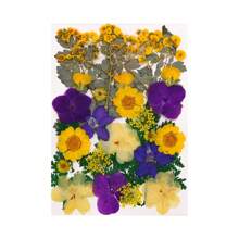 30/40Pcs 1 Set Dried Pressed Leaves Dried Flowers For Resin Real Assorted Dried Greenery For Pressed Leaf Art Craft DIY Handmade Bookmarks Embellishment Decorations