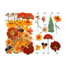 30/40Pcs 1 Set Dried Pressed Leaves Dried Flowers For Resin Real Assorted Dried Greenery For Pressed Leaf Art Craft DIY Handmade Bookmarks Embellishment Decorations