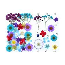 30/40Pcs 1 Set Dried Pressed Leaves Dried Flowers For Resin Real Assorted Dried Greenery For Pressed Leaf Art Craft DIY Handmade Bookmarks Embellishment Decorations