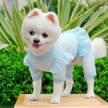 Váy lưới ren & Quần áo cho chó cưng, Quần áo cho mèo - Nhiều màu - Xem 11