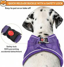 Dog Harness With Leash Set, No-Pull Step-In Reflective Pet Harness With 1 Leash Clips, Adjustable Soft Padded  Dog Vest Small Medium Large Dogs, Cats(Bright Red, XXXSmall)8GGY - 紫色 - 查看 7