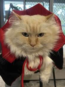 Accesorios para mascotas - Capa de vampiro para perros/gatos pequeños, disfraz y vestido para mascotas