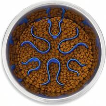 Hound Fun Feeder Slo Bowl, Slow Feeder Dog Bowl, Medium/Mini, Turquoise - Stainless Steel - 查看 1