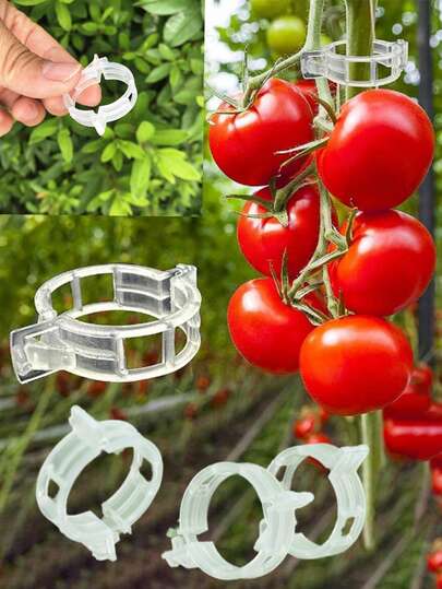 100pcs/200pcs Plant Fixing Clips, Plastic Grid Clips, Green Plant Support Clips, Vine Clips, Tomato Vine, Vegetable Plant Clips, Garden Clips, Help Plants Grow Upright, Healthier And More Aesthetic, Seedling Fixing Vine Clips, Spring Plant Planting Binding Clips