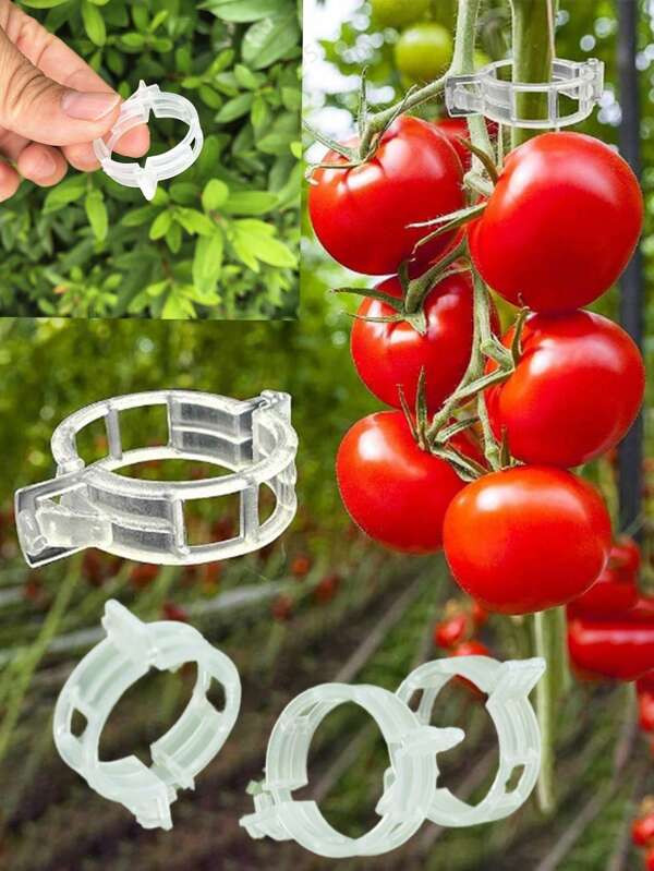 100 Stücke/200 Stücke Pflanzenbefestigungsklammern, Plastik Gitterklammern, grüne Pflanzenhalterungsklammern, Rebklammern, Tomatenpflanzenklammern, Gemüsepflanzenklammern, Gartenklammern, helfen Pflanzen aufrecht, gesünder und ästhetischer wachsen, Jungsaatklammern