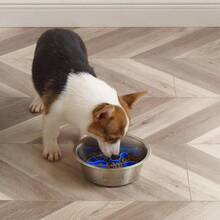Hound Fun Feeder Slo Bowl, Slow Feeder Dog Bowl, Medium/Mini, Turquoise - Stainless Steel - 查看 6
