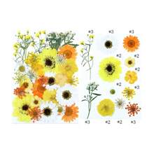 30/40Pcs 1 Set Dried Pressed Leaves Dried Flowers For Resin Real Assorted Dried Greenery For Pressed Leaf Art Craft DIY Handmade Bookmarks Embellishment Decorations