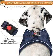 Dog Harness With Leash Set, No-Pull Step-In Reflective Pet Harness With 1 Leash Clips, Adjustable Soft Padded  Dog Vest Small Medium Large Dogs, Cats(Bright Red, XXXSmall)8GGY - 藍色 - 查看 2