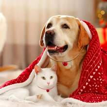 20/50 قطعة مجموعة أجراس نحاسية متعددة الألوان - مناسبة لعيد الميلاد، أجراس كبيرة بقطر 22 مم/0.866 بوصة، ديكور المنزل والحيوانات الأليفة، أجراس نحاسية مفرغة بطلاء فراغي، أجراس عيد الميلاد الملونة بقطر 22 مم، إكسسوارات مجوهرات DIY للحيوانات الأليفة، أجراس ملونة، قلادة جرس للكلب والمفاتيح، زينة أجراس معدنية صغيرة لعيد الميلاد، هدايا حفلات عيد الميلاد، باللون الأحمر والأخضر والذهبي والفضي، أجراس زينة عيد الميلاد الكلاسيكية، أجراس نجمة خماسية معلقة من الحديد المطاوع لزينة شجرة عيد الميلاد