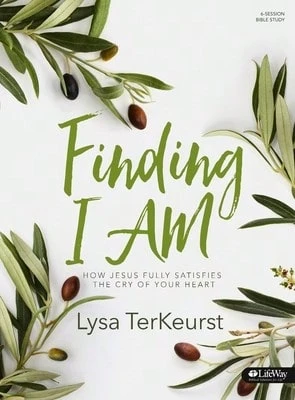 Pre-Owned Finding I Am - Bible Study Book: How Jesus Fully Satisfies The Cry Of Your Heart (Paperback) By Lysa TerKeurst