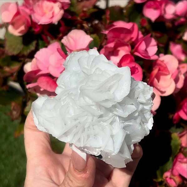 1 pieza Calcita rosa blanca, perfecta para decoración de escritorio en oficina y sala de café, exquisita, ideal para colección en el hogar y regalo para el Día de San Valentín y fiestas
