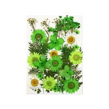 30/40Pcs 1 Set Dried Pressed Leaves Dried Flowers For Resin Real Assorted Dried Greenery For Pressed Leaf Art Craft DIY Handmade Bookmarks Embellishment Decorations