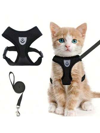 Harnais de promenade ajustable et respirable pour chat ainsi que laisse assortie, gilet anti-fugue pour petits chats