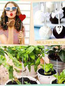 50pcs Acrylic Lollipop Sticks (4in,6in,8in,10in),Cake Pops Sticks, Candy Sticks,Acrylic Dowel Rods, Treat Sticks, Stir Rod,Melt Cake Pops, Cupcake Toppers, Clear Cake Pop Display Holder,Chocolate Cookie Dessert, Party Supplies, Party Decor(Not A Straw)Reusable,For DIY Crafts, Party Decorations, Gardening,Wedding, Halloween, Christmas Candy,Handwork Supplies,Garden Plants,Birthday,Graduation,Baking Tools, Kitchen Accessories - Multicolor - View 6