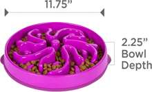 Fun Feeder Slo Bowl, Large Slow Feeder Dog Bowl, 4 Cups, Purple