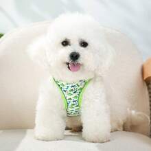 HLP407 Cute Padded Pet Harness, Vest-Style For Small-Medium Dogs - Green - View 8