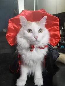 Accesorios para mascotas - Capa de vampiro para perros/gatos pequeños, disfraz y vestido para mascotas