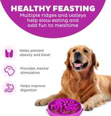 Fun Feeder Slo Bowl, Large Slow Feeder Dog Bowl, 4 Cups, Purple