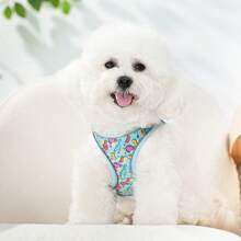 HLP407 Cute Padded Pet Harness, Vest-Style For Small-Medium Dogs - Green - View 5