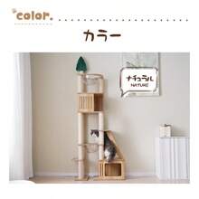 Camping Tents - Natural1 - Ver 3