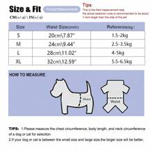 Culotte physiologique pour animal de compagnie mignon à motif de dessin animé avec dentelle et nœud, culotte menstruelle multifonctionnelle pour petit chien, anti-fuite