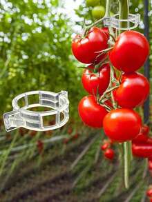 100个/200个植物固定夹，塑料网格夹，绿色植物支撑夹，藤蔓夹，番茄藤蔓夹，蔬菜植物夹，园艺夹，帮助植物直立生长，更健康更美观，幼苗固定藤蔓夹，春季植物种植捆绑夹 - 白色 - 查看 5