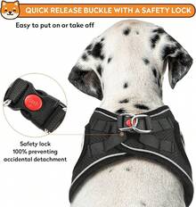 Dog Harness With Leash Set, No-Pull Step-In Reflective Pet Harness With 1 Leash Clips, Adjustable Soft Padded  Dog Vest Small Medium Large Dogs, Cats(Bright Red, XXXSmall)8GGY - 黑色 - 查看 9
