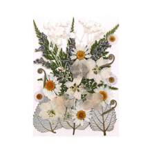 30/40Pcs 1 Set Dried Pressed Leaves Dried Flowers For Resin Real Assorted Dried Greenery For Pressed Leaf Art Craft DIY Handmade Bookmarks Embellishment Decorations