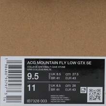 Nike Men's ACG MOUNTAIN FLY LOW GTX SE Sports Casual Shoes, Low-Top, IB7328-003