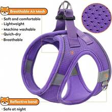 Dog Harness With Leash Set, No-Pull Step-In Reflective Pet Harness With 1 Leash Clips, Adjustable Soft Padded  Dog Vest Small Medium Large Dogs, Cats(Bright Red, XXXSmall)8GGY - 紫色 - 查看 11