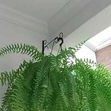 Kit 2 Ganchos Decorativos de Parede – Suporte Multiuso para Toalhas, Plantas e Acessórios - Preto - Visão 4