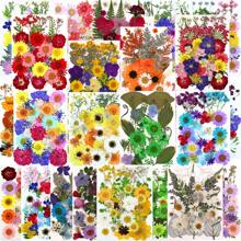 30/40Pcs 1 Set Dried Pressed Leaves Dried Flowers For Resin Real Assorted Dried Greenery For Pressed Leaf Art Craft DIY Handmade Bookmarks Embellishment Decorations