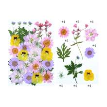 30/40Pcs 1 Set Dried Pressed Leaves Dried Flowers For Resin Real Assorted Dried Greenery For Pressed Leaf Art Craft DIY Handmade Bookmarks Embellishment Decorations