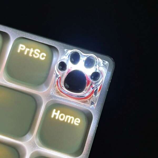 1pc Multi-Color Cat Paw Translucent ABS Resin Keycap, Suitable For Cherry MX Mechanical Keyboard Accessories