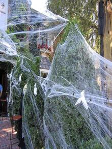 5pcs Halloween Spider Web Decoration Set, Stretchable, Suitable For Indoor And Outdoor Use, Create Spooky Atmosphere, Super Elastic Spider Web, Includes 2 Realistic Spiders, Ideal Choice For Halloween Decoration - Multicolor - View 6