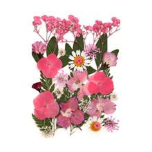 30/40Pcs 1 Set Dried Pressed Leaves Dried Flowers For Resin Real Assorted Dried Greenery For Pressed Leaf Art Craft DIY Handmade Bookmarks Embellishment Decorations